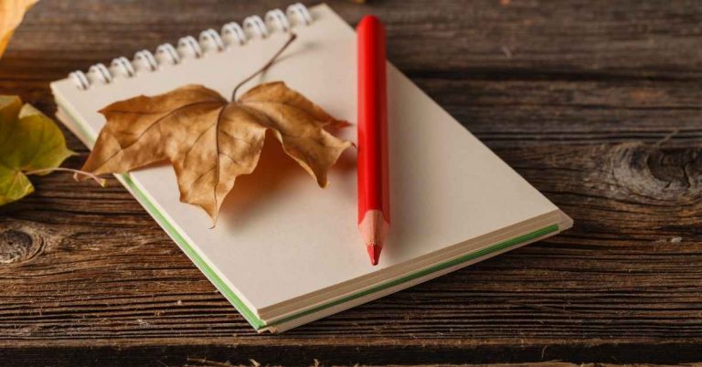A leaf and a red pencil on a sketchbook