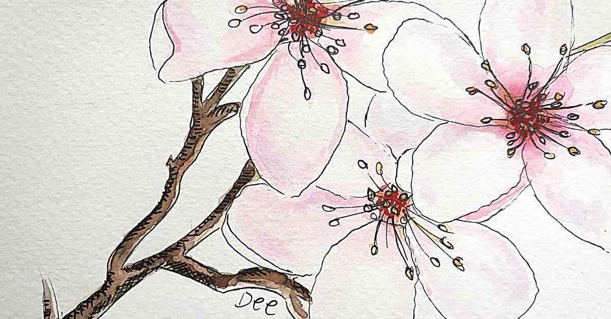 cherry blossom watercolor