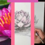 How to Draw Lotus Flower Pin