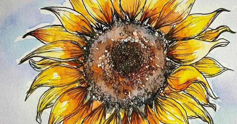sunflower painting