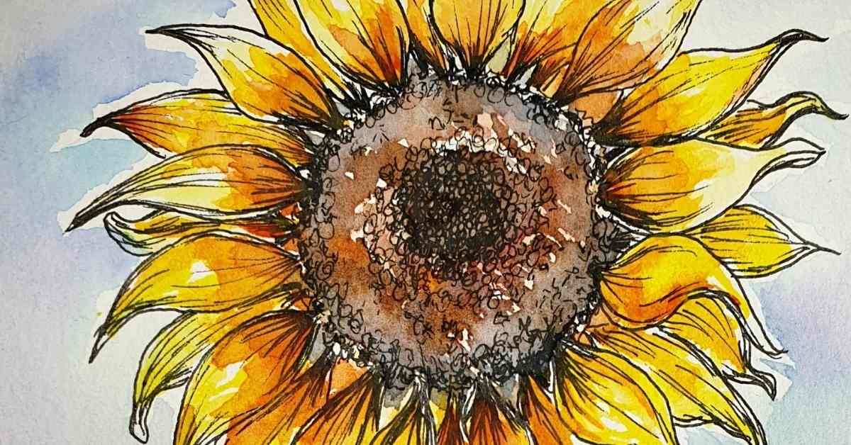 How to Draw a Sunflower