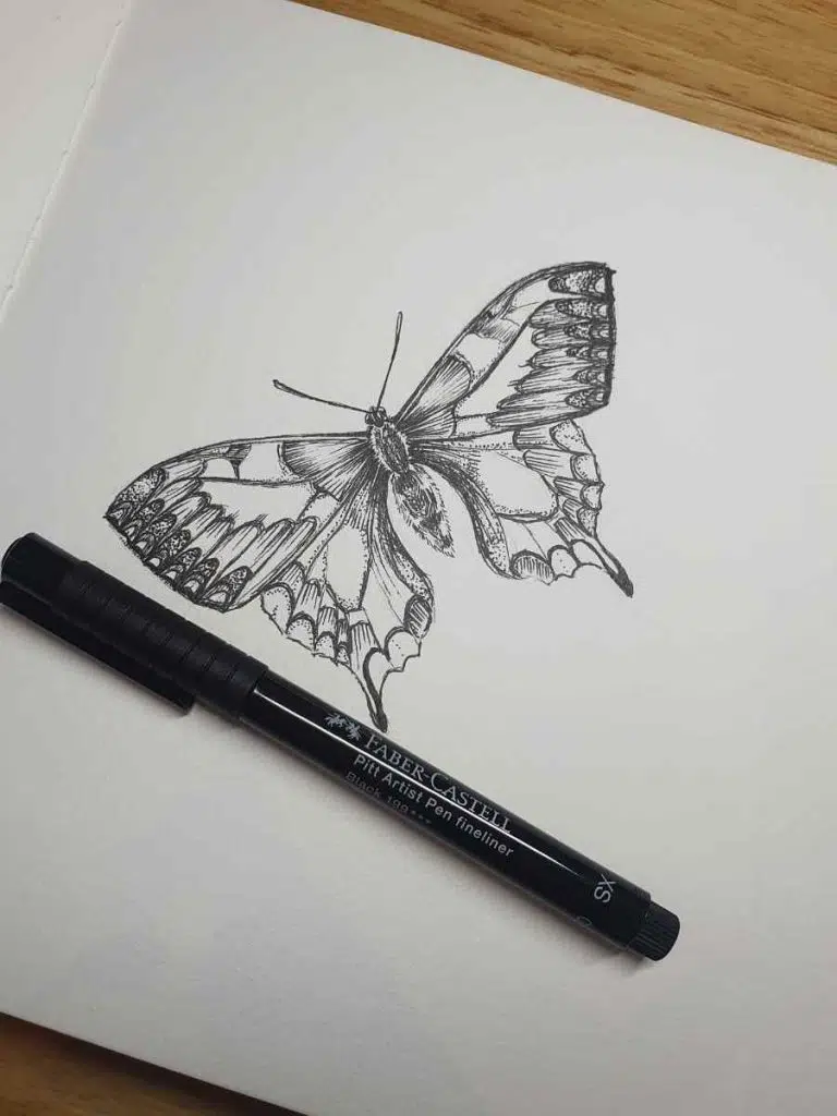 Butterfly Pen Drawing to Demonstrate How to draw a butterfly