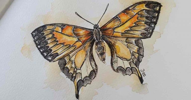 a butterfly painting to demonstrate how to draw a butterfly