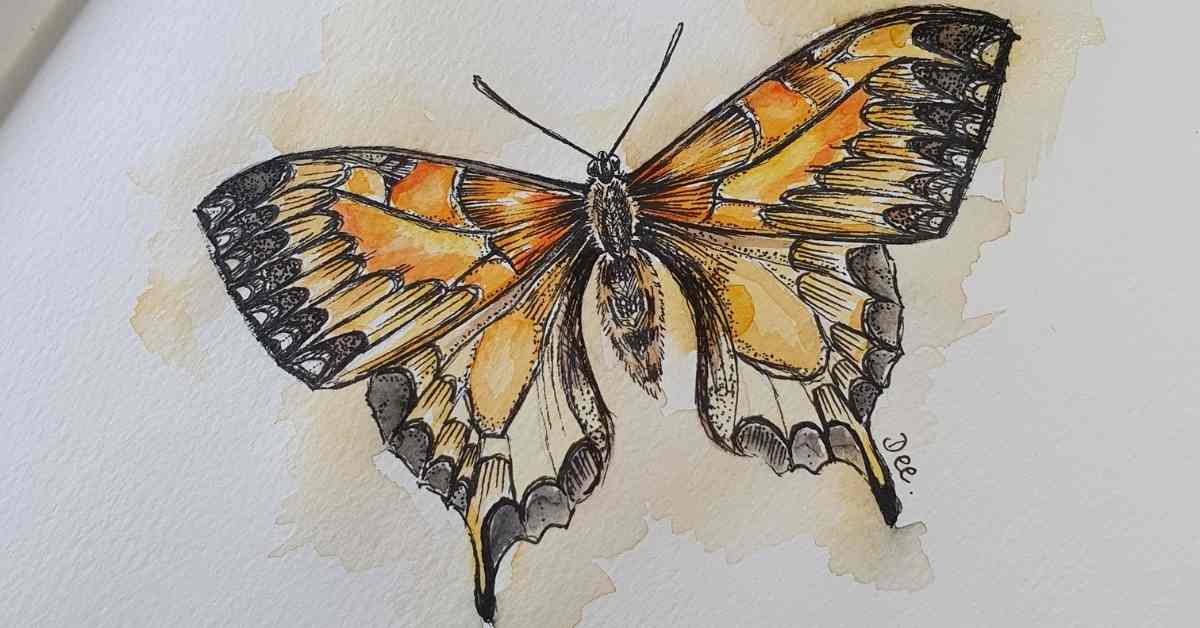 a butterfly painting to demonstrate how to draw a butterfly