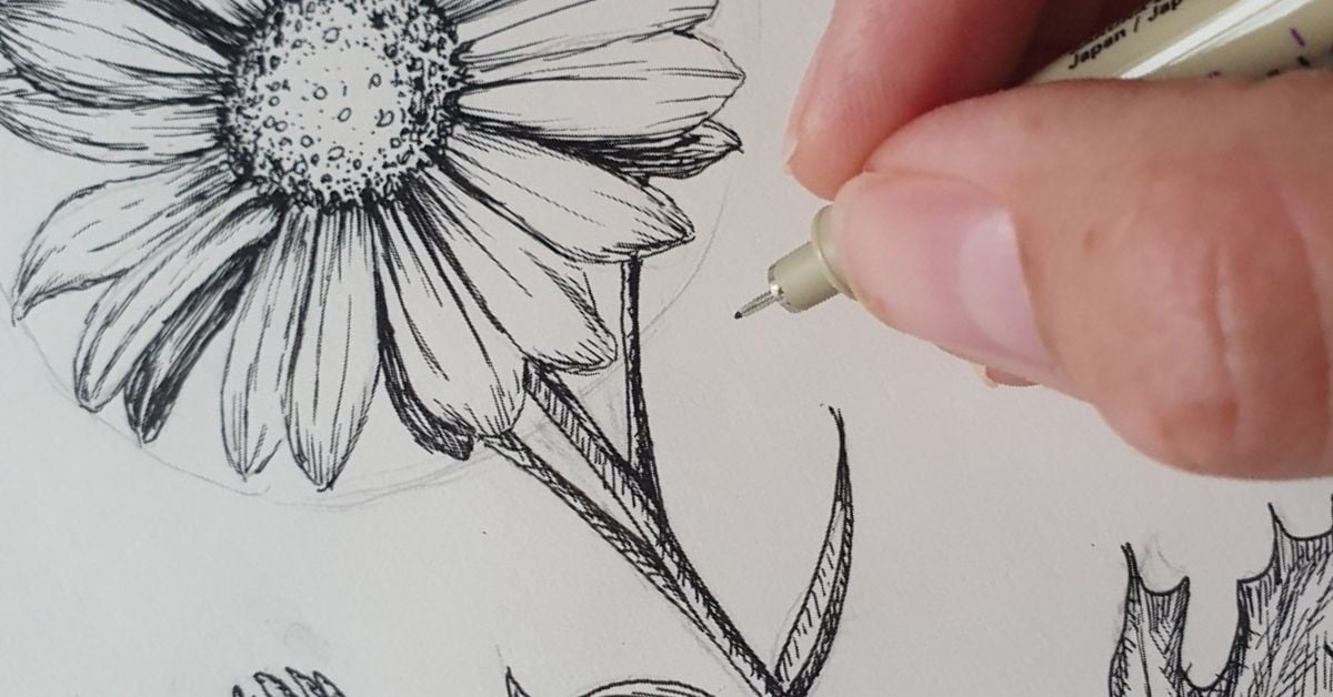 daisy flower drawing in pen
