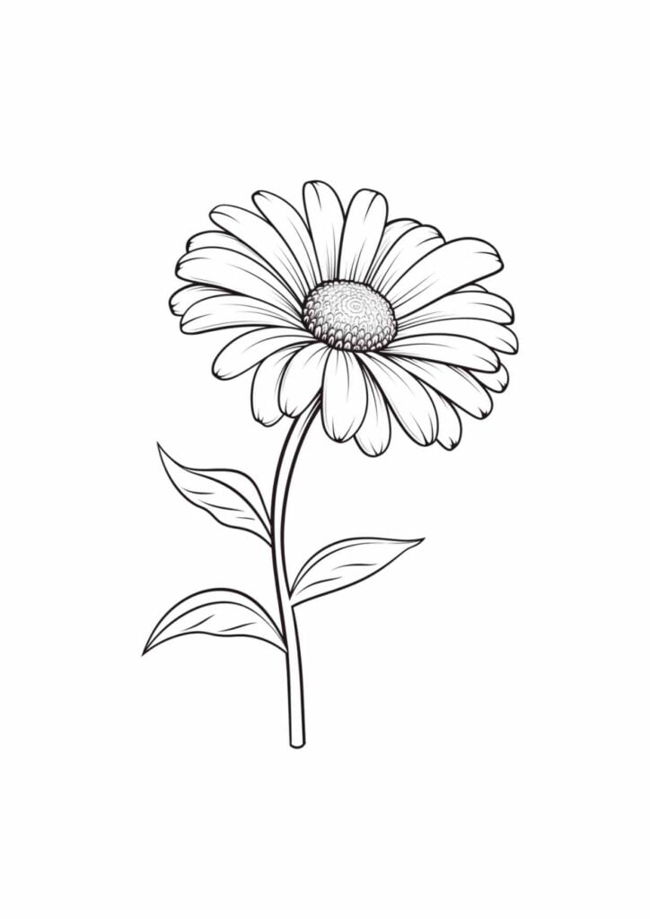 Free Flower Watercolor Template