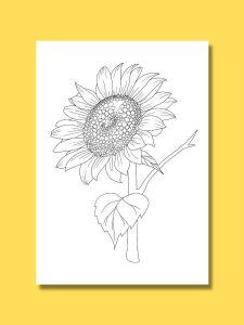 6 Free Sunflower Printables: Gorgeous Templates for your Next Artwork ...