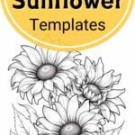 Free Printable Sunflower Templates