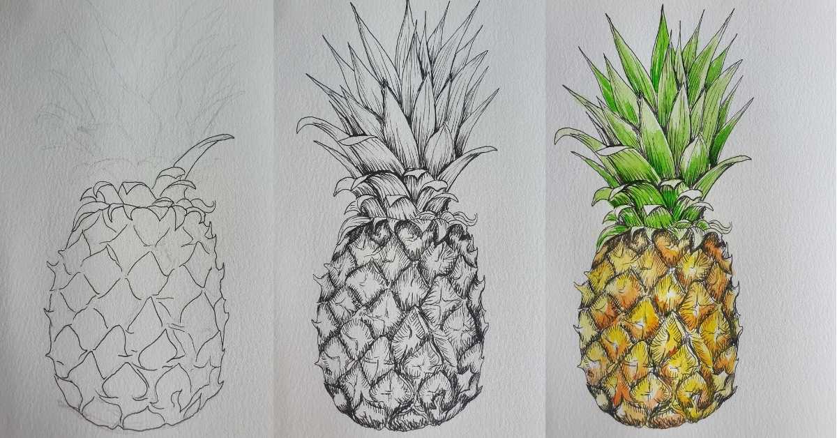 Three pineapples demonstrating how to draw a pineapple