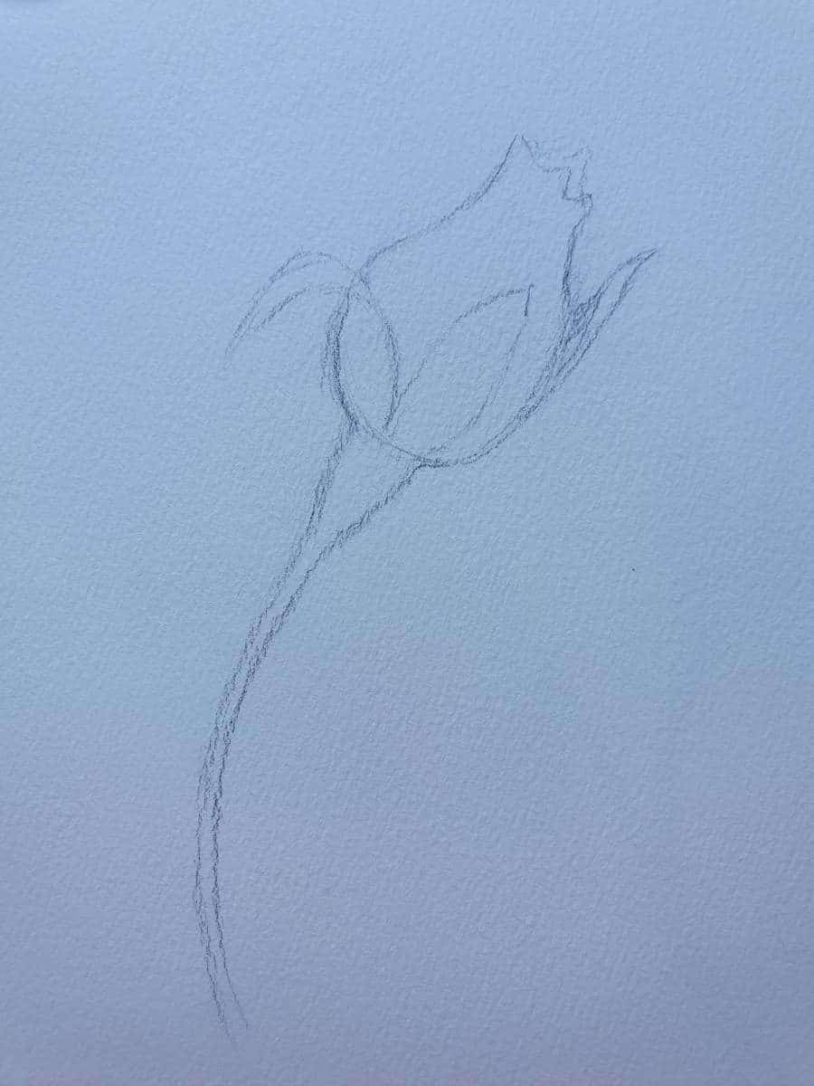 Exquisite Rose Drawing | 3 Easy Step-by-Step Tutorials – Artsydee ...
