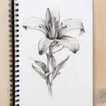 how to improve your drawing