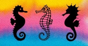 Looking For a Magical Seahorse Template? 9 FREE Seahorse Printables for Your Art-Making!