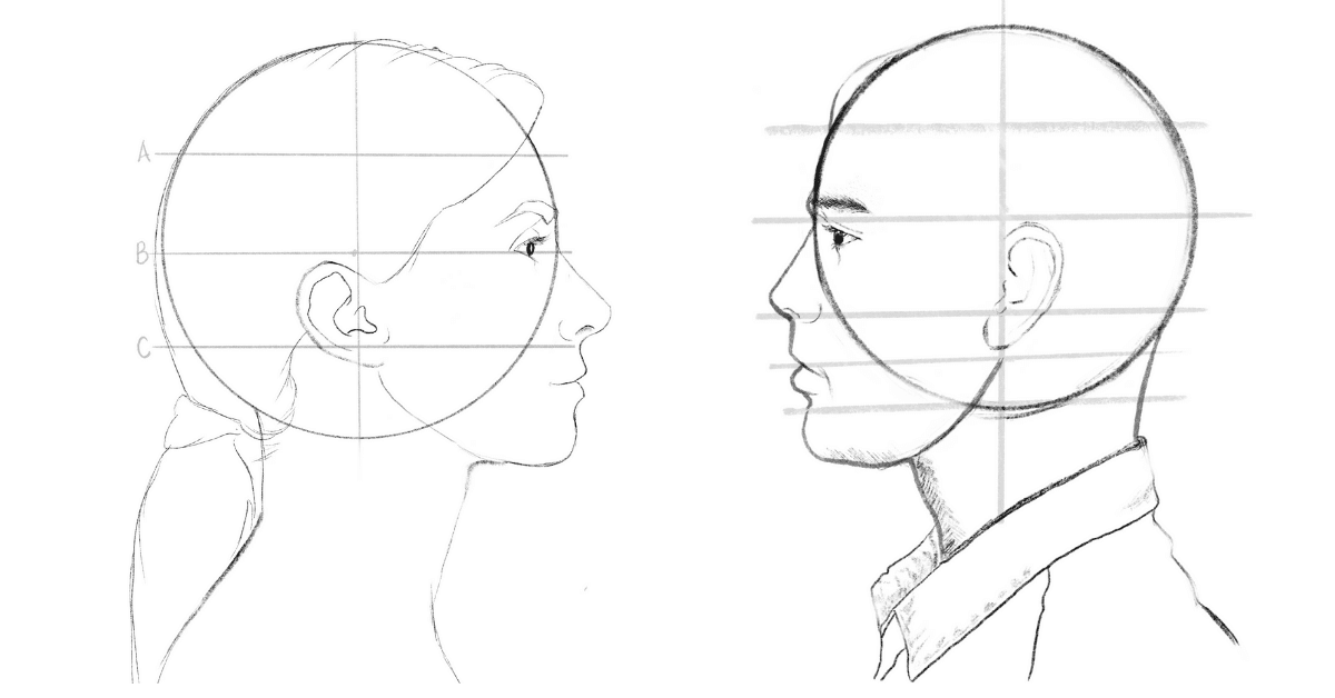 12 Easy Steps to an Accurate Side Profile Drawing - Artsydee | Drawing,  Painting, Craft & Creativity