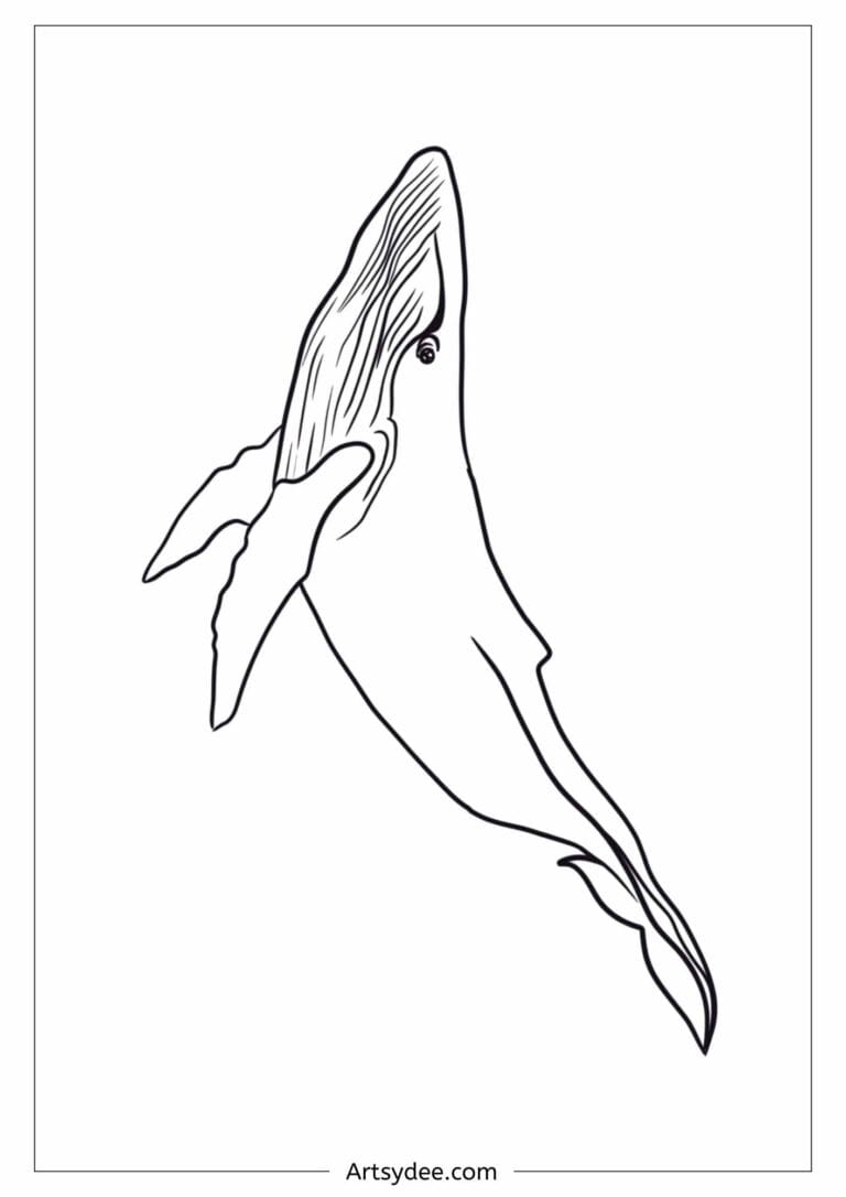 20+ Free Printable Whale Templates for Watercolor &amp; Crafts! – Artsydee ...