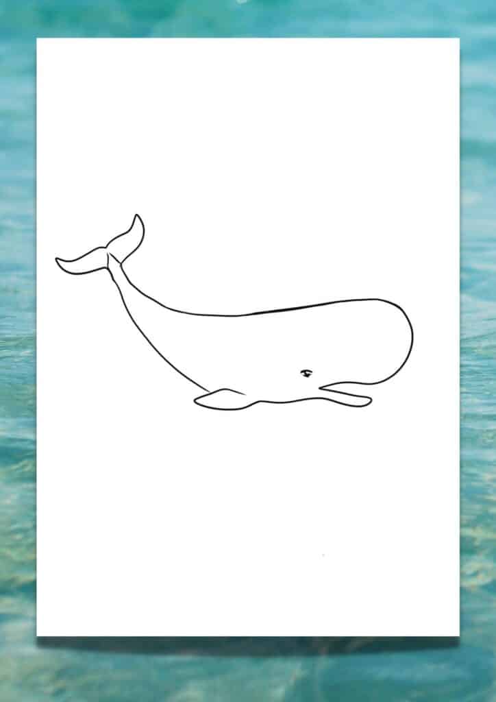 Looking for a Printable Whale Template? 6 FREE Traceable Whales ...
