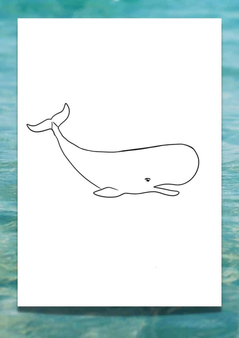 Looking for a Printable Whale Template? 6 FREE Traceable Whales ...