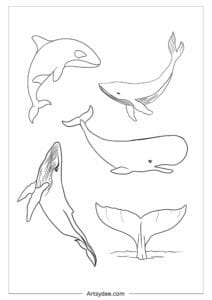 20+ Free Printable Whale Templates for Watercolor &amp; Crafts! – Artsydee ...