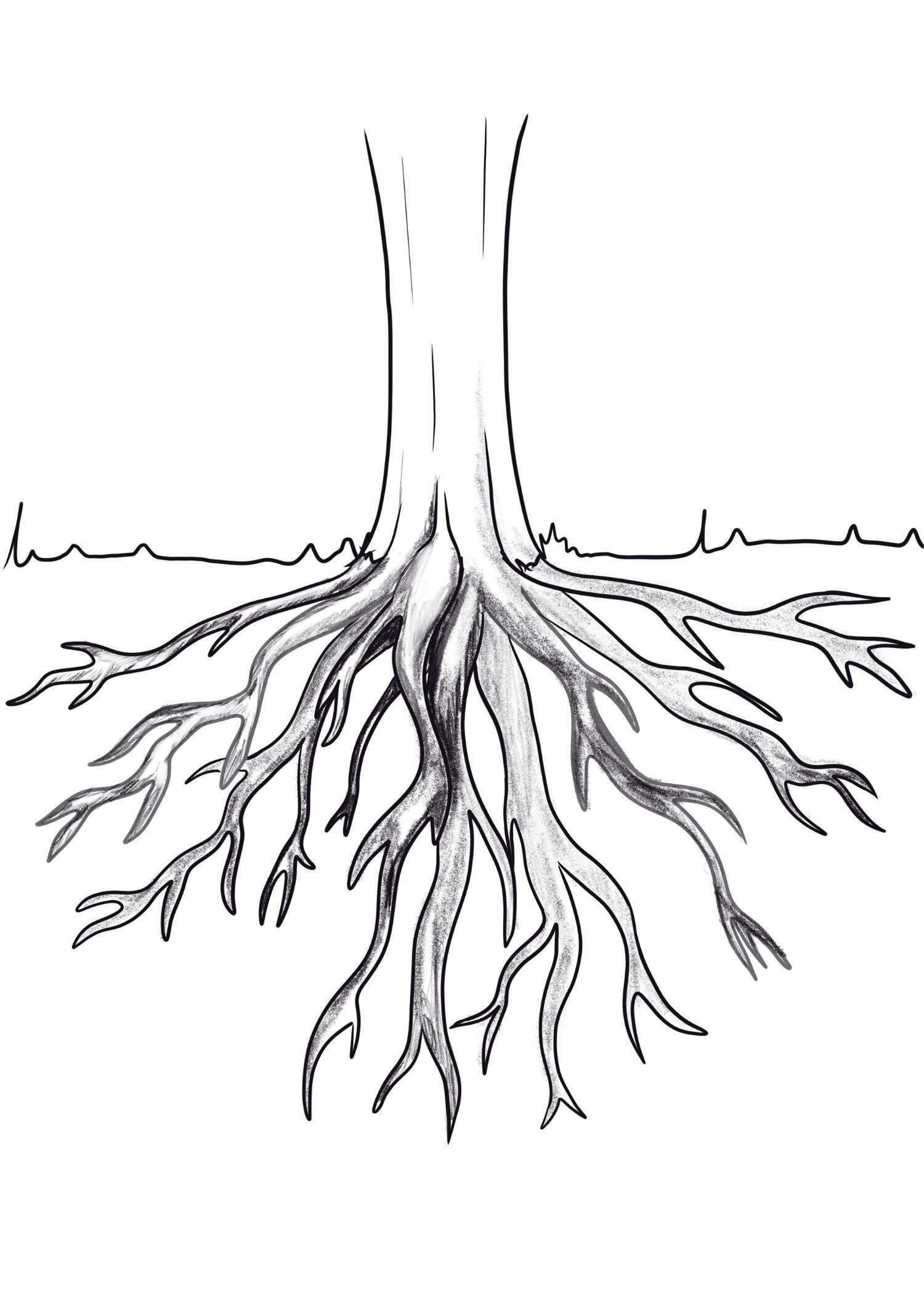 How To Draw Tree Plantation Drawing Younger Satepas
