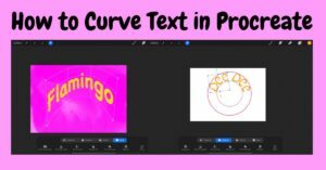 How to Curve Text in Procreate: The Ultimate Guide (2022)