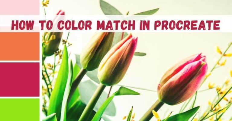 how to color match in procreate featured image