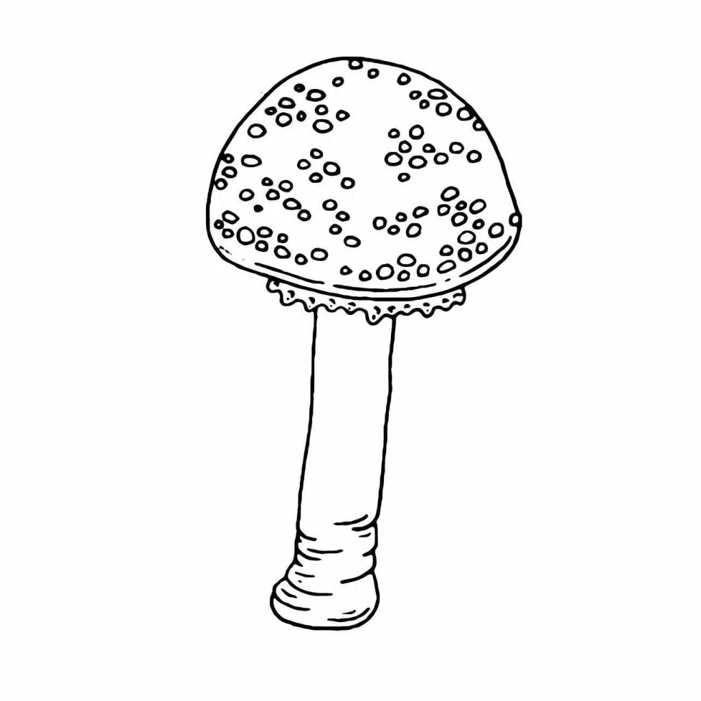 mushroom design to draw