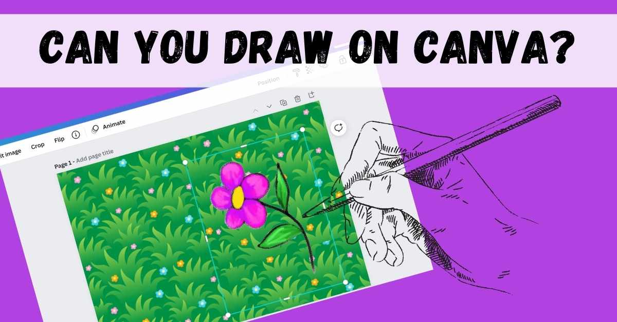Can You Draw on Canva featured image