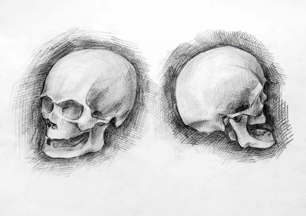 skulls drawing idea for adults