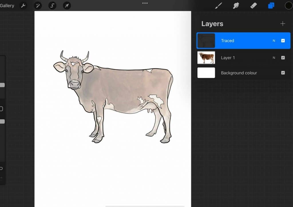 How to Trace on Procreate Step 11 trace your image (4)
