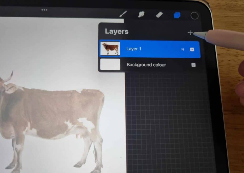How to Trace on Procreate Step 7 create new layer