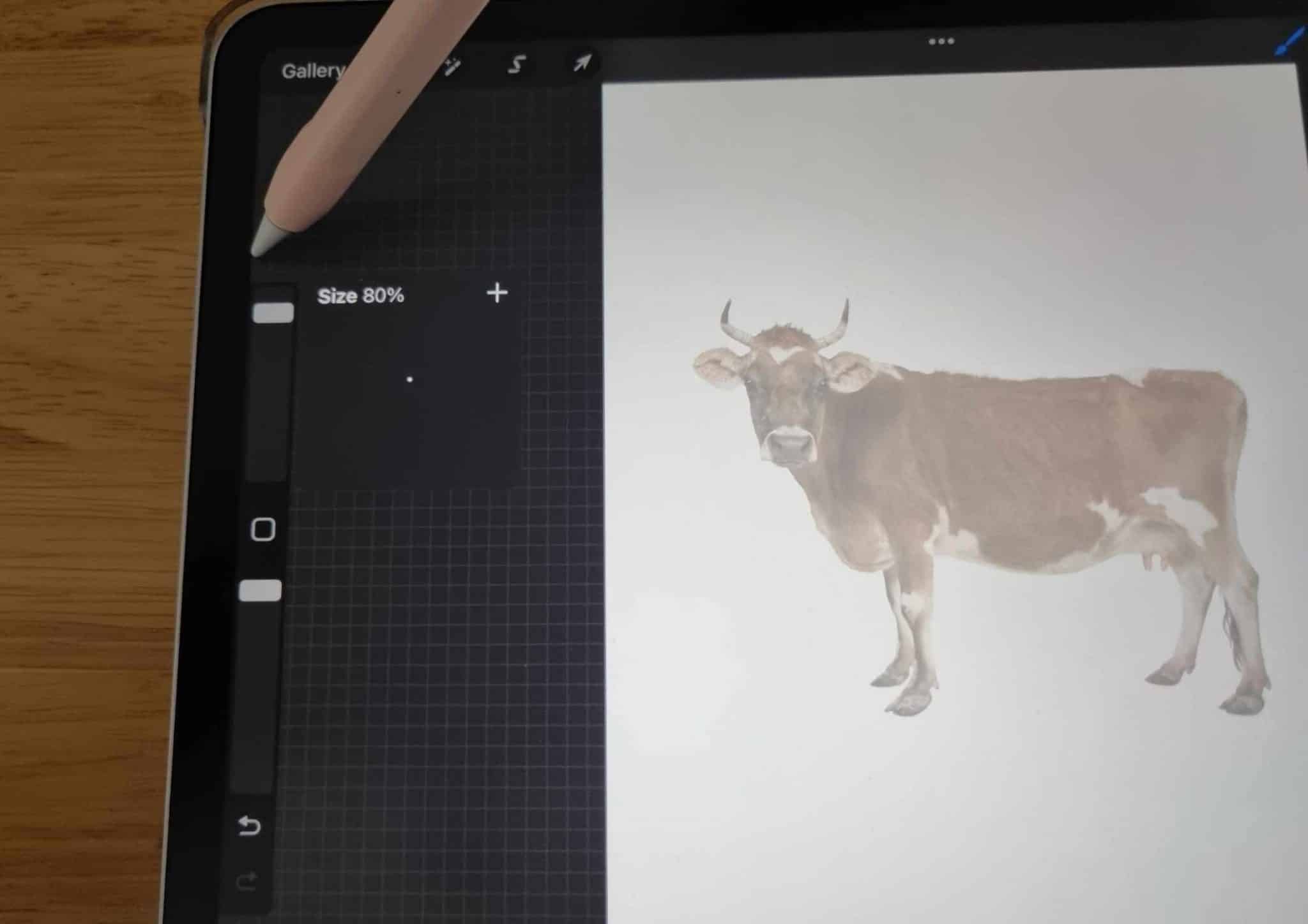 How To Trace On Procreate in 11 Easy Steps Artsydee Drawing