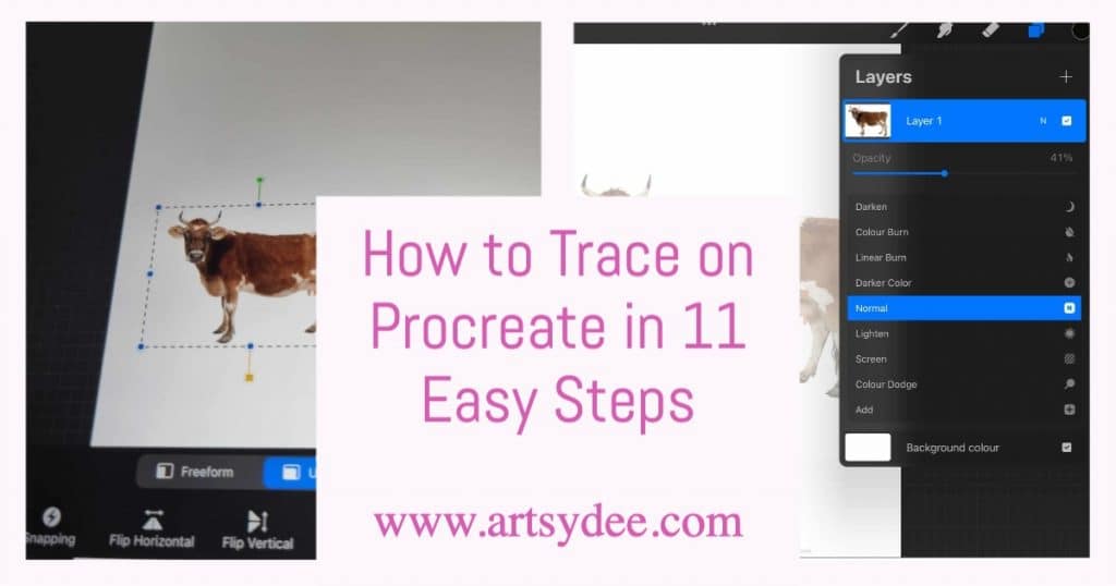 How-to-Trace-on-Procreate-in-11-Easy-Steps 4