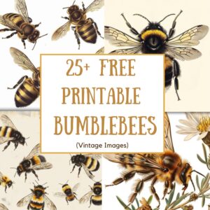 25+ Free Printable Bumble Bees! (Printable PDF) - Artsydee - Drawing ...