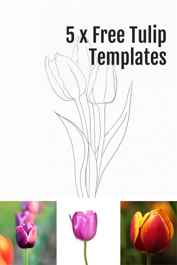 looking-for-a-tulip-template-5-x-free-printable-tulips-for-your