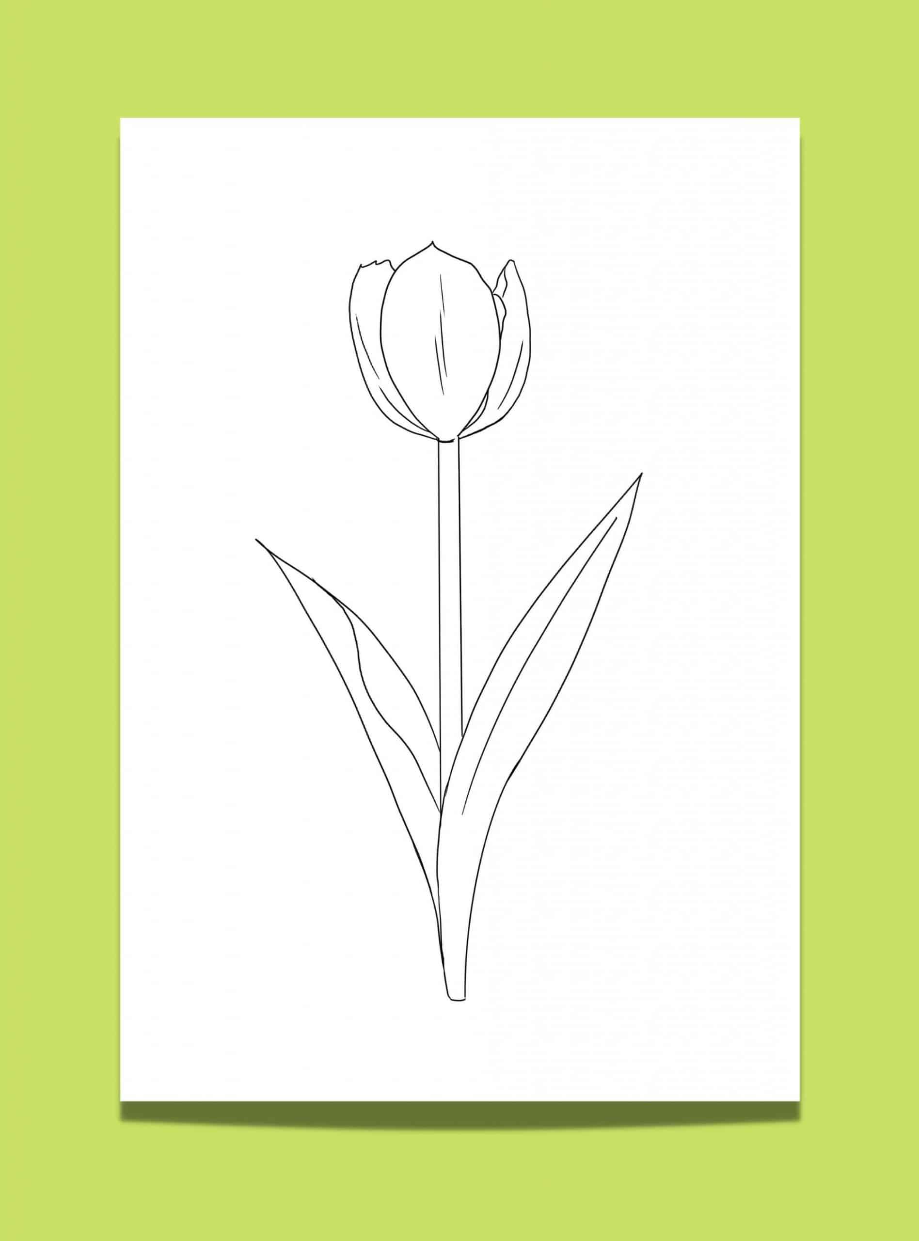 Looking for a Tulip Template? 5 x Free Printable Tulips for Your ...