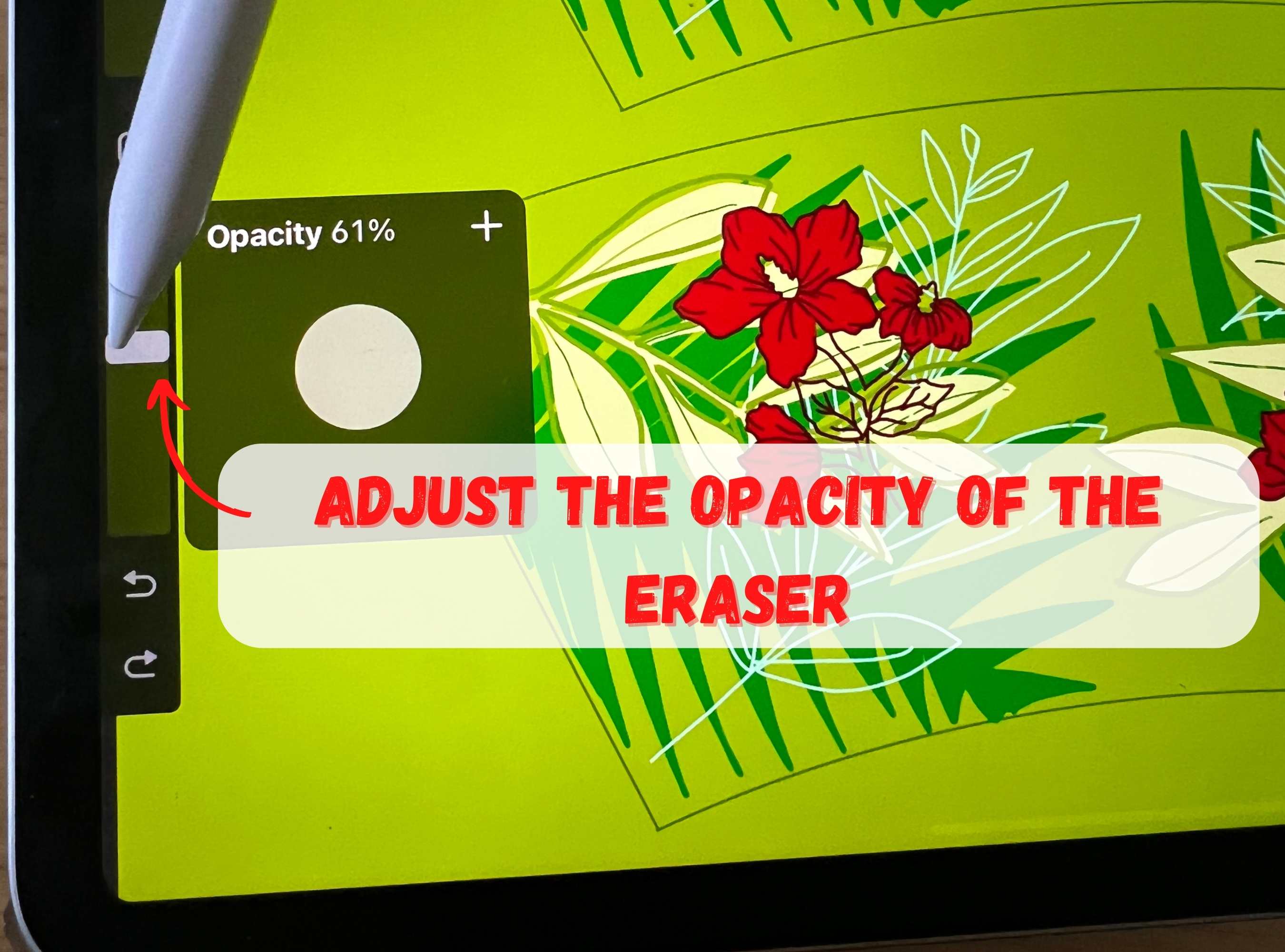 How to Erase on Procreate A Comprehensive Guide Artsydee Drawing