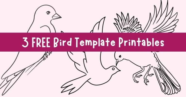 bird template featured image