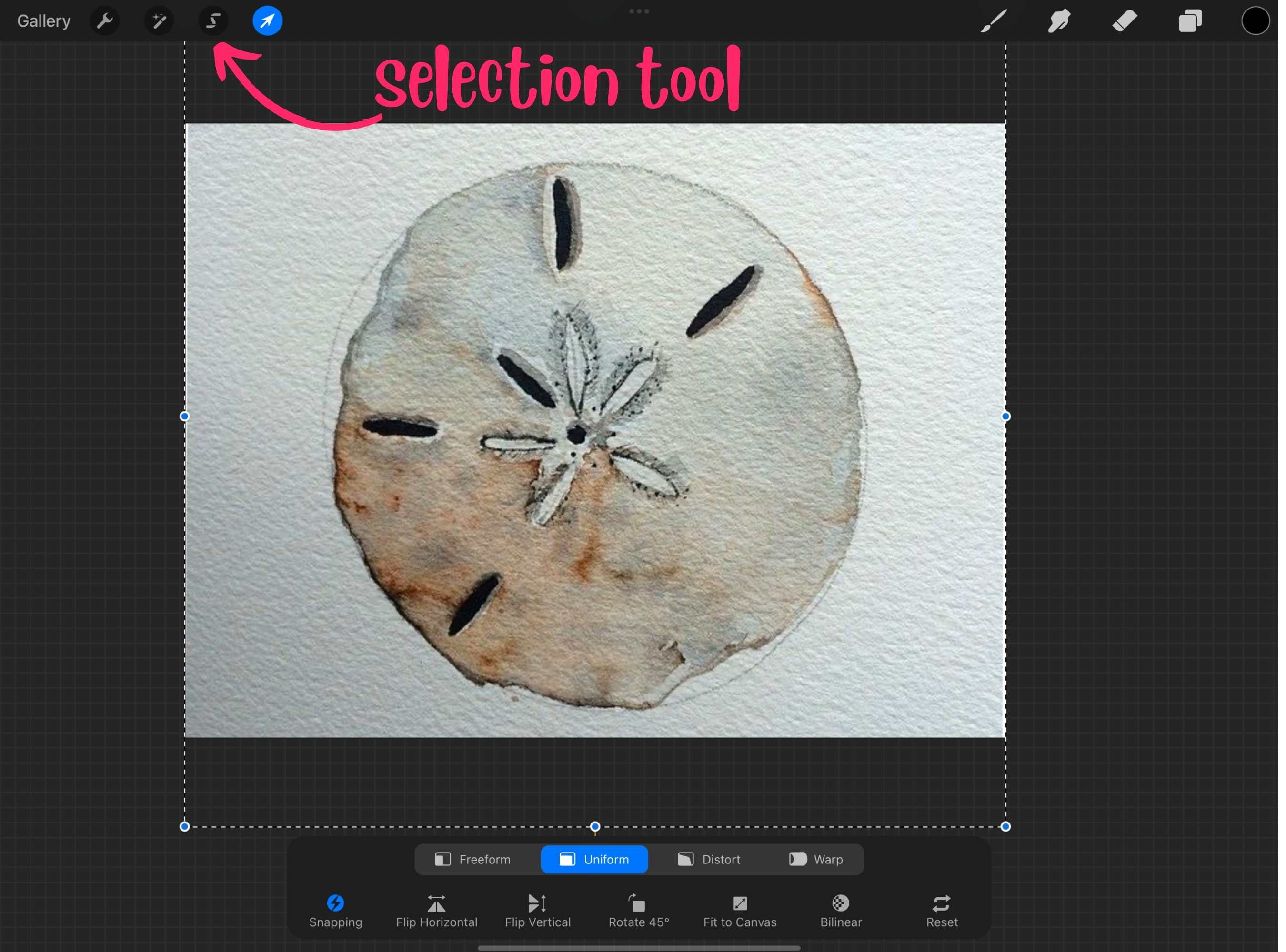 How to Remove Background in Procreate (3 Easy Methods!) Artsydee