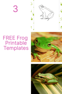 Looking for a frog printable template? 3 Frog Designs for Your Arts ...