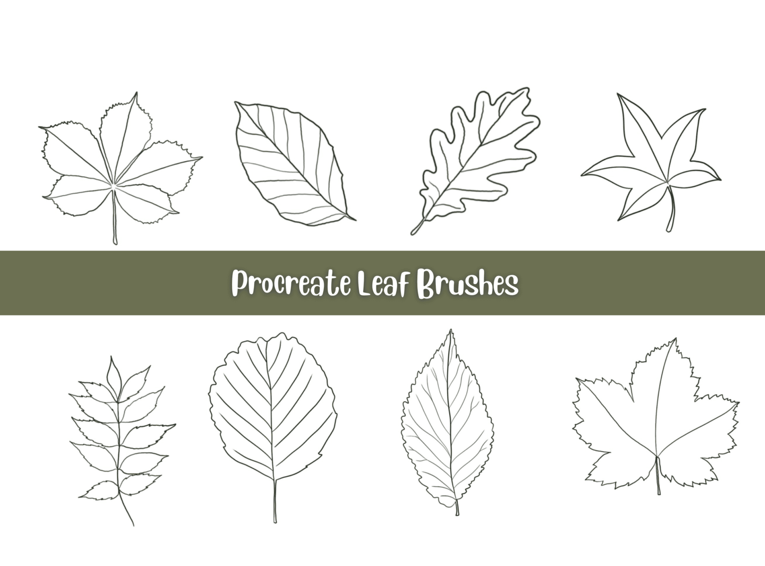 20 Beautiful HandDrawn Procreate Leaf Brush Stamps Artsydee
