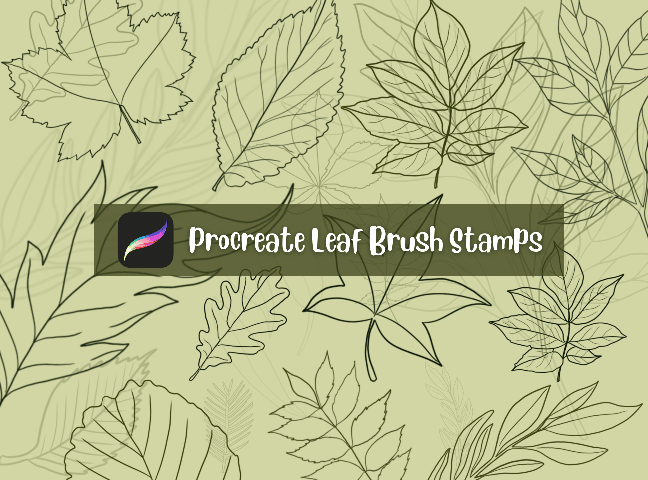 20 Beautiful HandDrawn Procreate Leaf Brush Stamps Artsydee