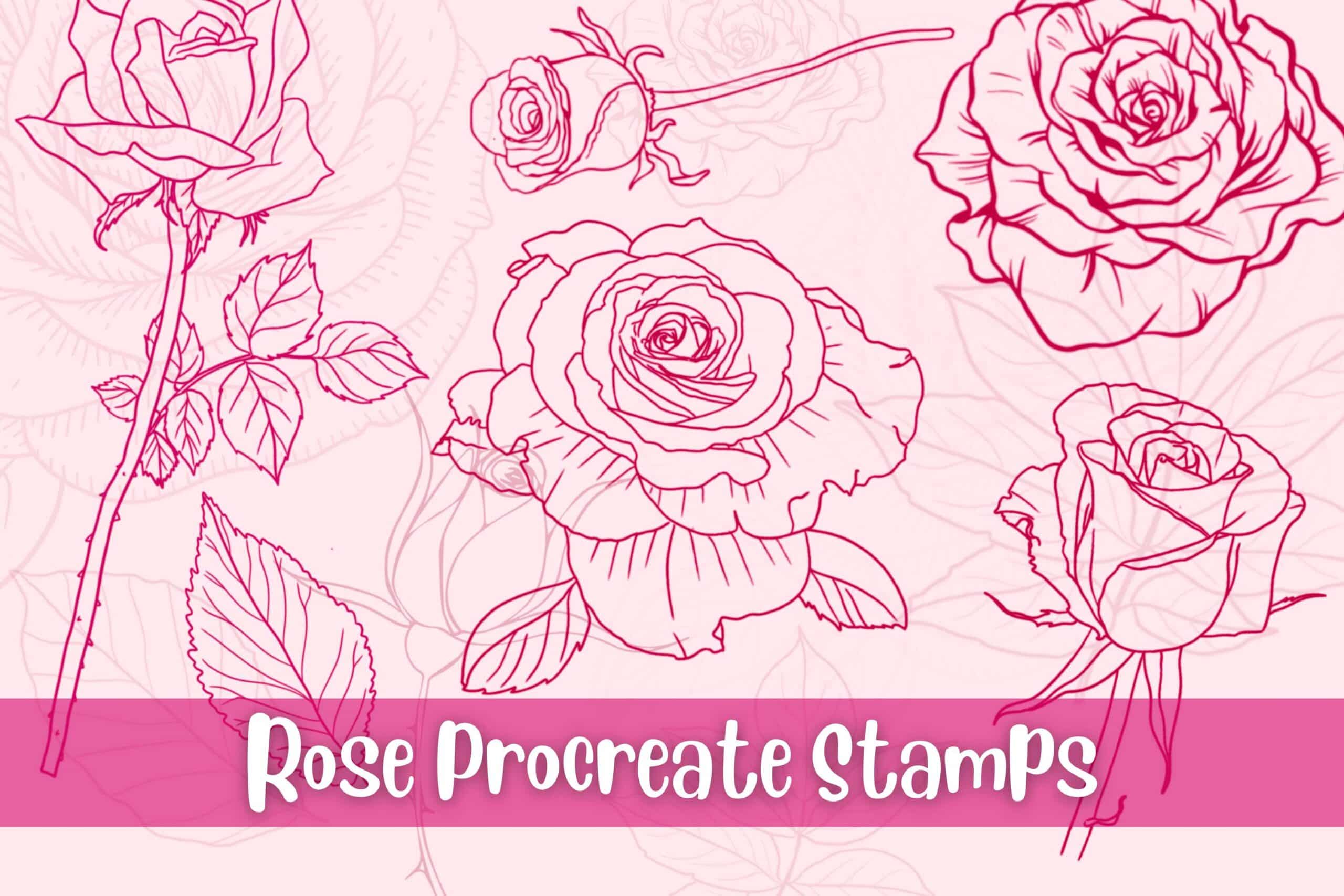 rose brush procreate