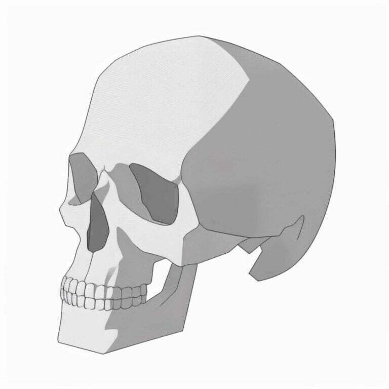 27 Awesome Skull Drawing Reference Images Artsydee Drawing