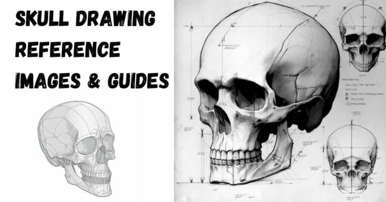 skull drawing Reference Featured Image (1)