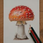 mushroom drawing ideas Artsydee