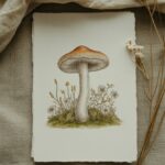 mushroom drawing ideas Artsydee