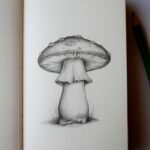 mushroom drawing ideas Artsydee