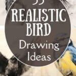 bird drawing ideas