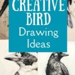 bird drawing ideas