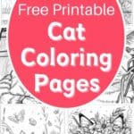 cat coloring pages