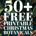 Vintage Christmas Botanicals Artsydee